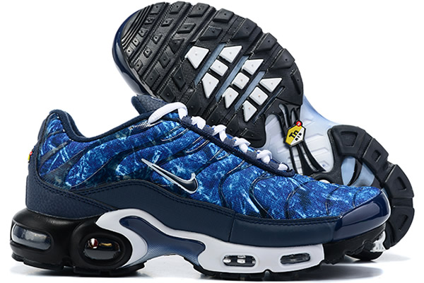 Nike Air Max TN 8909-A79